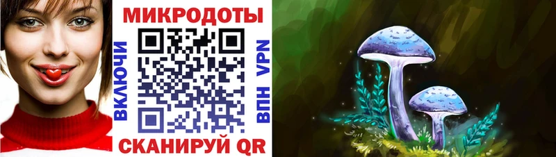Галлюциногенные грибы MAGIC MUSHROOMS  ОМГ ОМГ   Вологда 